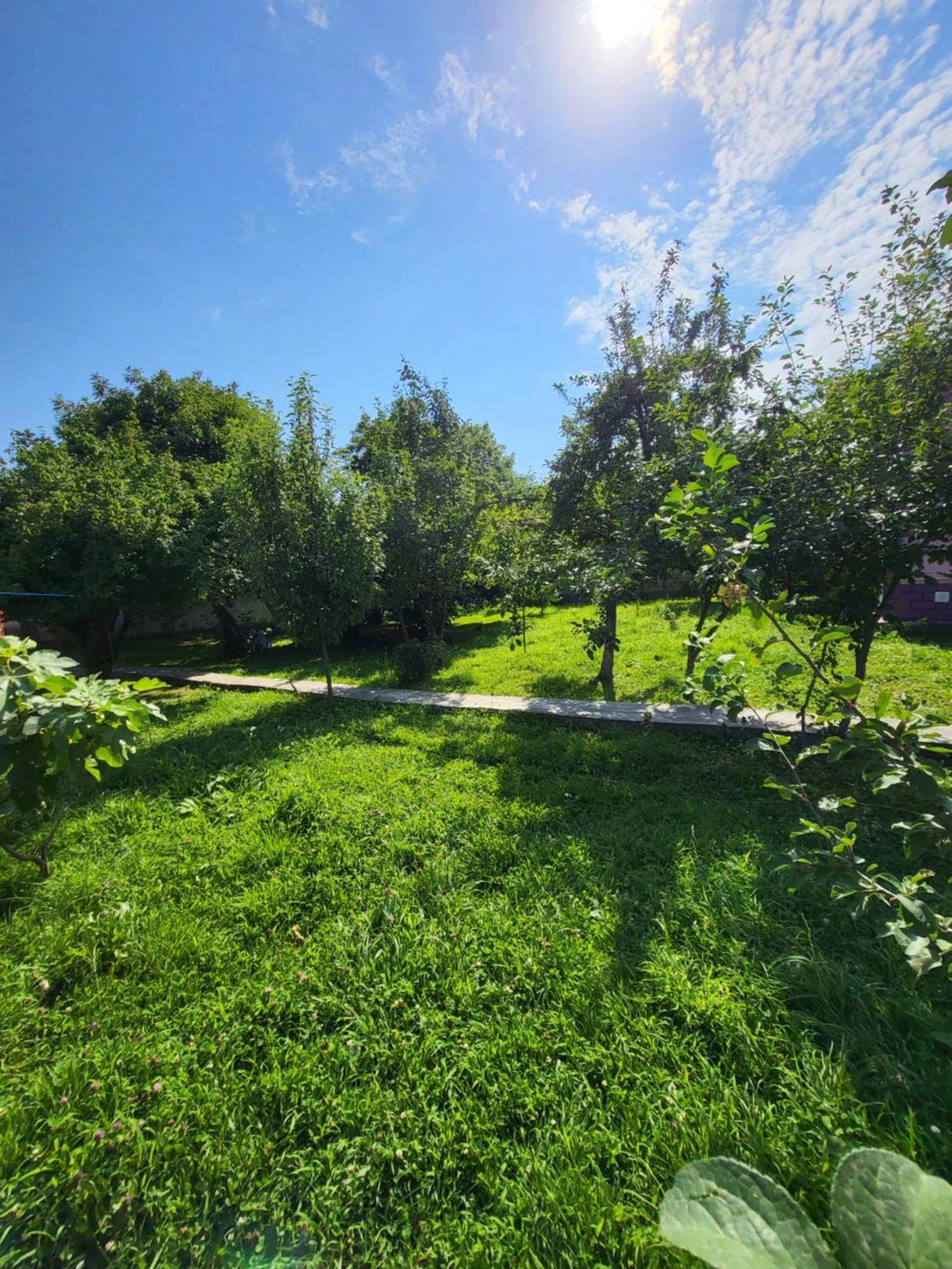 Gabala Garden Hostel 客房 照片